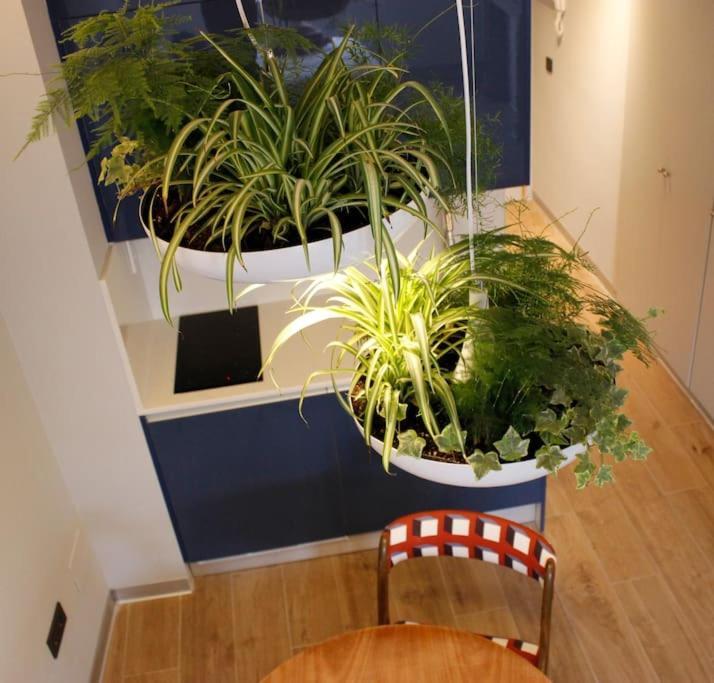 Apartamento Por Temporada Centro Diseno Madrid Eksteriør billede