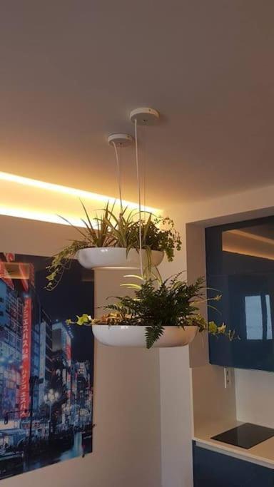 Apartamento Por Temporada Centro Diseno Madrid Eksteriør billede