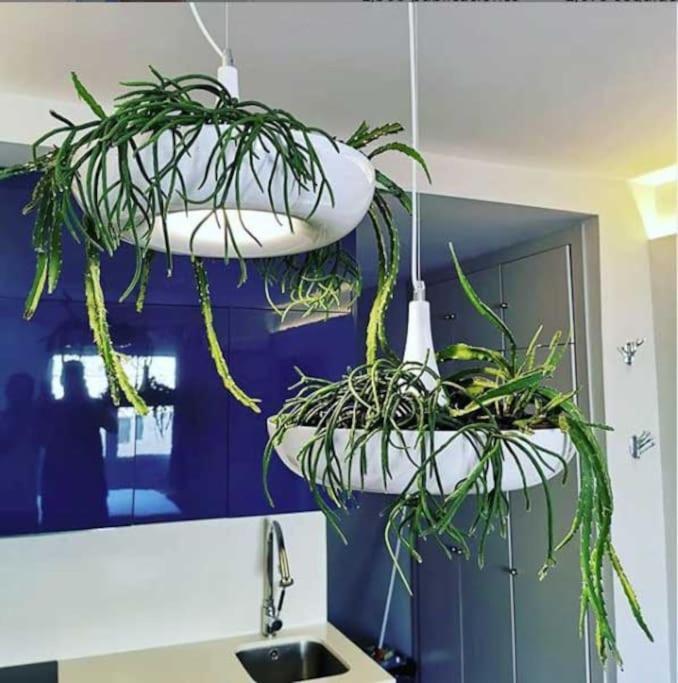 Apartamento Por Temporada Centro Diseno Madrid Eksteriør billede